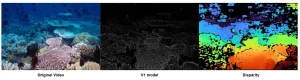 Cortical Representations in Naturalistic Vision - Naturalistic 3D vision recruits richer and more flexible cortical representations, reflected by increased representational dimensionality and altered population geometry across the visual cortex. 